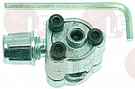 ���� BPV31