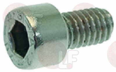 STAINLESS STEEL SCREW M6x8