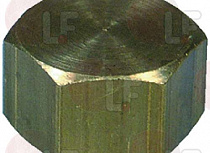 BRASS CAP ? 1/4"F
