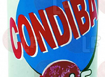 CONDIBAT DISINFECTANT 650 ml