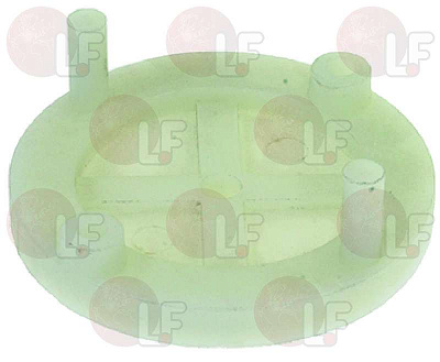 DRAIN FILTER SUPPORT RING NUT