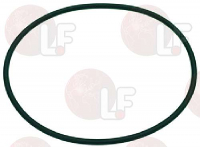 ������ 78.94x2.62 �� EPDM