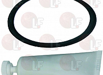 GASKET ��� FILTER CASE