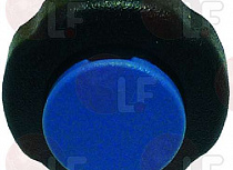 BLUE�����