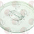 POLYCARBONATE COVER ? 230 ��