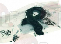 ����� SHAFT GASKET