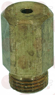 GAS NOZZLE M11x1 ? 1,80 ��