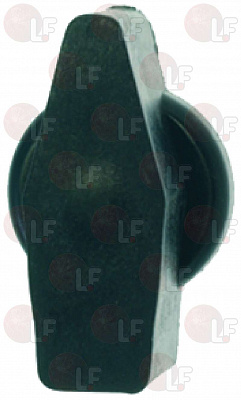 ����� ������������ �������