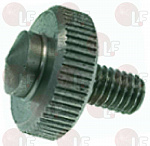 STAINLESS STEEL SPINDLE NUT