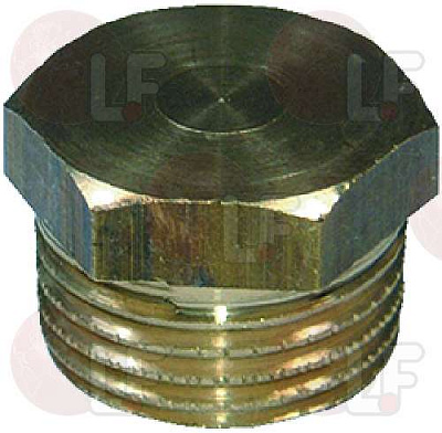 BRASS LID ? 1/2"M