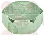 THREADED PLUG FEMALE 1