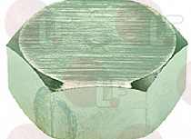 THREADED PLUG FEMALE 1"