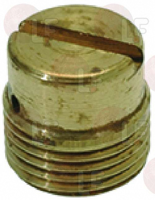 GROUP DIFFUSER ? 11 �� M12x1 H12