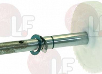 GEAR ? 57 �� 41 ������