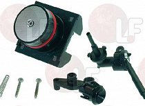 ������ ������ ����
