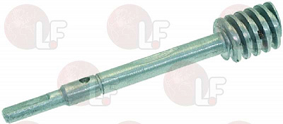 WORM SCREW