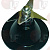 ���� ��� �������