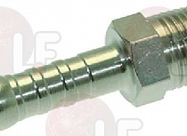 ������ 1/8"M NPT ? 7 ��