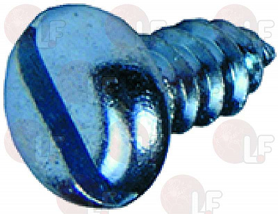 SLOTTED SCREW M6x12 ��