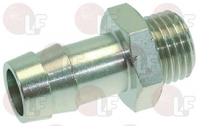 ������  ���������  1/4"M ? 12
