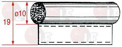 ����������� 10�19 ��