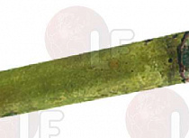 �������� ������ o 1/8''x106 ��