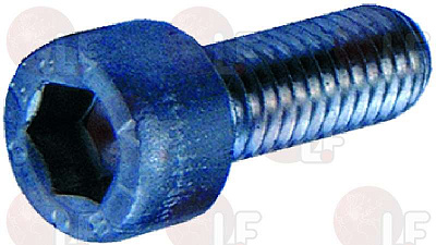 BRASS WORM SCREW