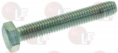 SCREW T.E. M6x40
