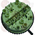 PRESSOSTAT 230V 16A