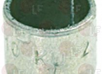 ������ ? 12x10 ��